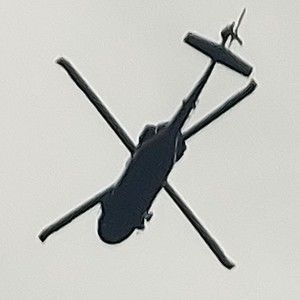 Meet your Posher, Roy